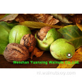 Walnut Kernels Light Pieces Concurrerende prijs
